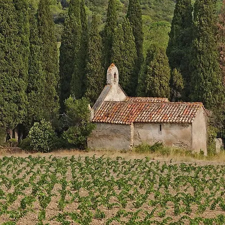 公寓 Cocons Dans Les Corbieres